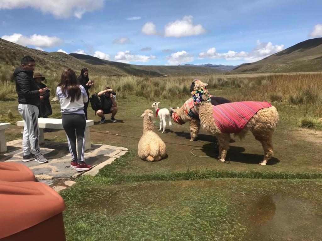 Amazing Huaraz Bed and Breakfast Exteriör bild