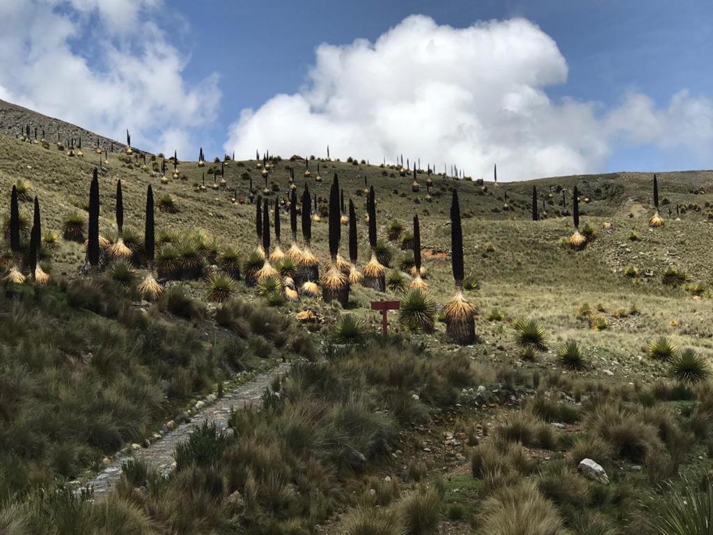 Amazing Huaraz Bed and Breakfast Exteriör bild