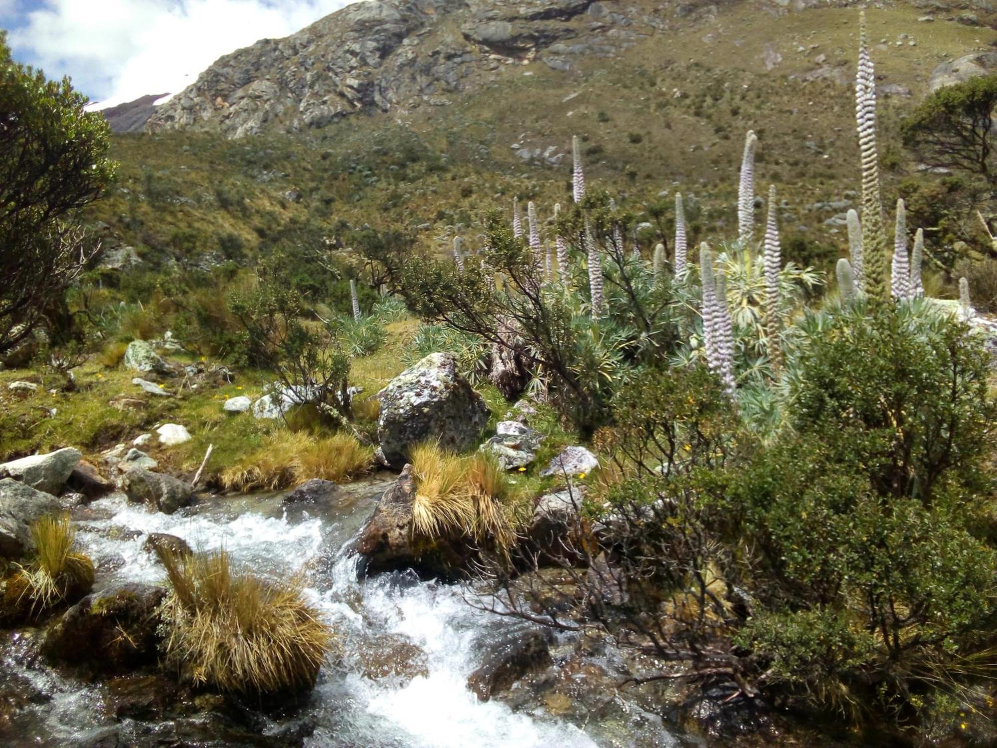 Amazing Huaraz Bed and Breakfast Exteriör bild