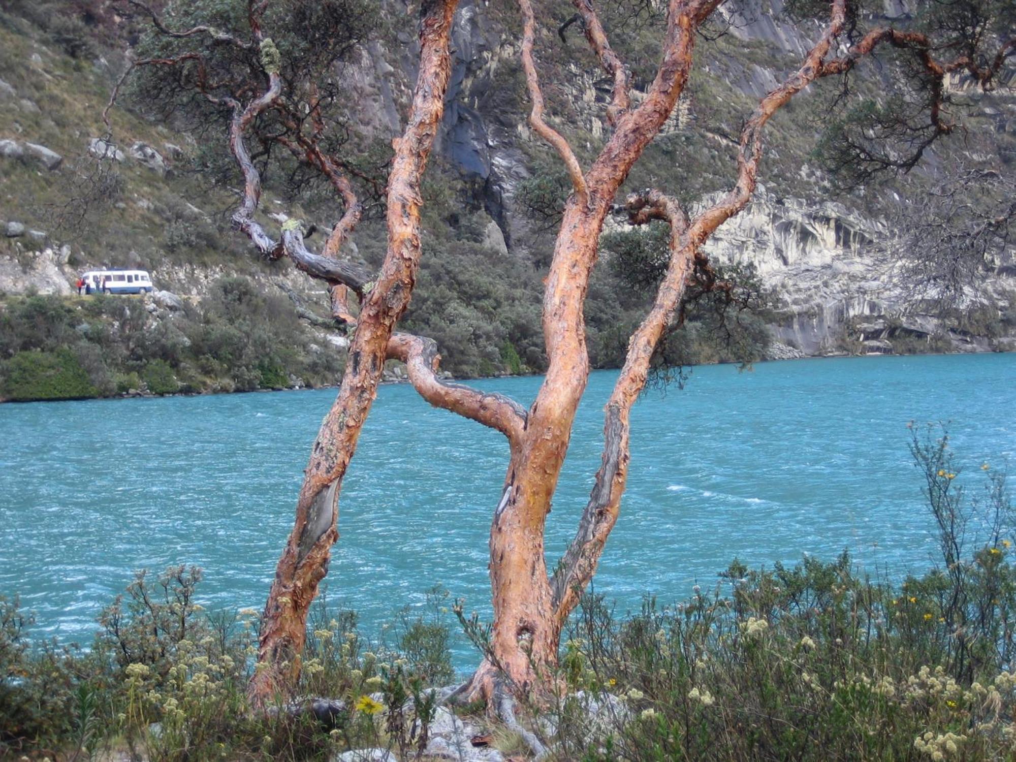 Amazing Huaraz Bed and Breakfast Exteriör bild